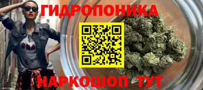 ПСИЛОЦИБИНОВЫЕ ГРИБЫ Лесосибирск
