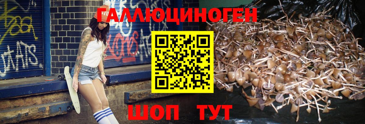 Псилоцибиновые грибы прущие грибы Зерноград