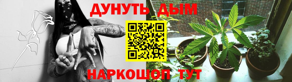 Бошки Шишки Amnesia Зерноград